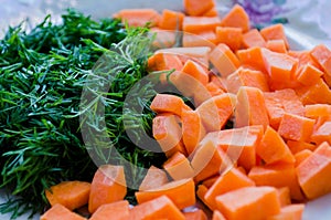 Vegetables on a plate. Carrots and dill. Healthy food. Vegetables. Orange and green. Vegetables for proper nutrition.