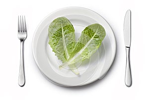 Vegetables Plate Setting Diet