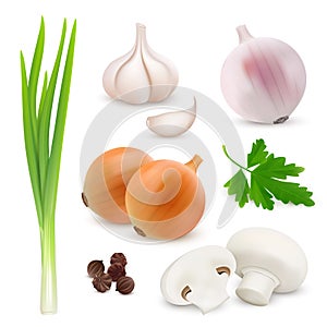 Vegetables realistic composition on white background with onions, garlic, mushrooms, parsley. Vector image