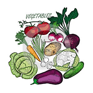 Vegetables round composition. Healthy food. Line art style.
