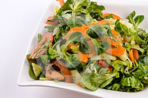 The vegetables salad