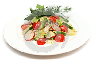 Vegetables salad - gourmet food