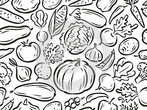 Vegetables seamless background. Healthy food concept. Vector illustration