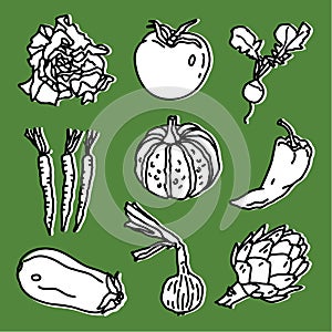 Vegetables set