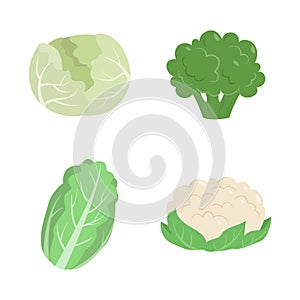 Vegetables set with cabbage, cauliflower, broccoli, and Chinese cabbage