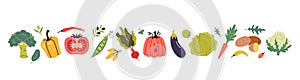 Vegetables set in cartoon style. Healthy eating, fresh food, Collection of farm products. Trendy modern vector