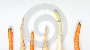 Vegetables set. Celery and carrot on light background. Healthy eating concept. Creative layout with copy space. Flat lay, top view