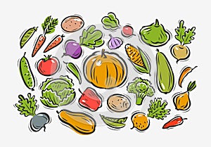 Vegetables set. Farming, horticulture concept. Vector illustration