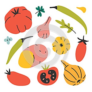 Vegetables set, isolated vector cliparts, vector illustrations of farming organic veggies, simple modern hand drawn