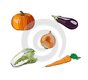 Vegetables set: pumpkin, eggplant, onion, carrot, salad, lettuce. Farm food. Healthy diet. Fresh raw vegetable harvest. Vector