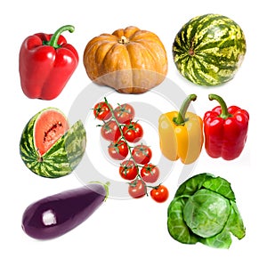 Vegetables set on a white background- pumpkin, sweet pepper, cabbage, watermelon, eggplant, branch of tomatos