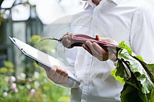 Vegetables specialist checking a beet