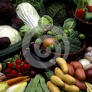 vegetables still life