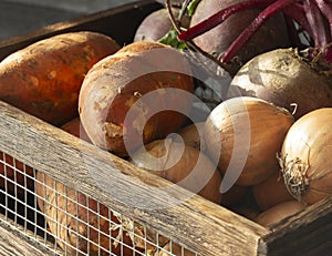 Vegetables, sweet potato onions and beetroot, in a wood and wire crate box.