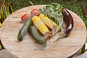 Vegetables on table, cucmber, tomato, cilantro, eggplant