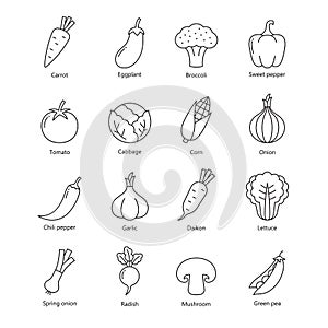 Vegetables thin line icons collection set, Outline simple design, Isolated on white background, Vector Illustration.