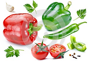Vegetables tomatoes peppers and spices  ungrouped retouched and isolated white background for package design photo