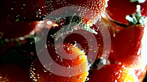 Vegetables. Tomatoes swims in water with bubbles