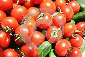 Vegetables - Tomatos and cucumbers