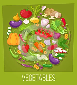 Vegetables top view frame. Farmers market menu design. Organic food poster. Vintage hand drawn sketch vector