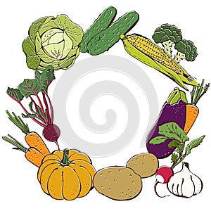 Vegetables vector set, hand drawn vegetable collection