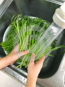 Vegetables washing, Raw morning glory in bowl