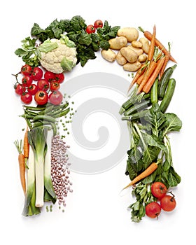 Vegetables on white background