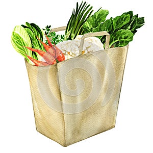 Vegetables in white grocery bag isolated photo