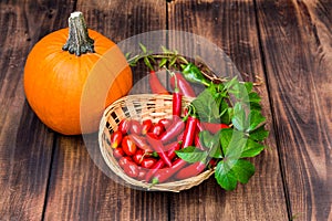 Vegetables on wood. Bio Healthy food, herbs and spices. Organic vegetables on wood