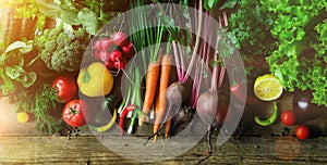 Vegetables on wooden background. Bio healthy organic food, herbs and spices. Raw and vegetarian concept. Ingredients