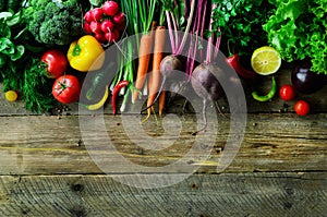 Vegetables on wooden background. Bio healthy organic food, herbs and spices. Raw and vegetarian concept. Ingredients