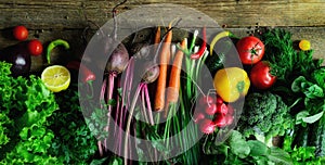 Vegetables on wooden background. Bio healthy organic food, herbs and spices. Raw and vegetarian concept. Ingredients