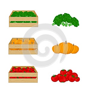Vegetables in wooden boxes on white background. Broccoli, pumpkin, tomatoes. Organic food illustration. Fresh vegetables