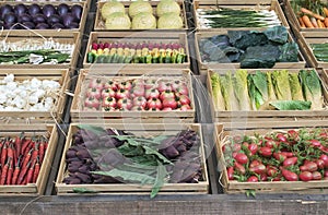 Vegetables in wooden crates