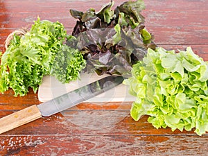 Vegetables on Wooden table .