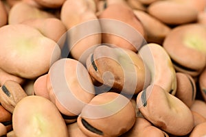 VegetablesÃ¯Â¼Å¡Dried broad bean