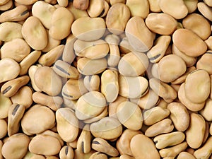 VegetablesÃ¯Â¼Å¡Dried broad bean