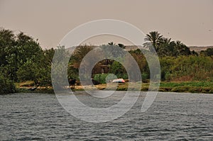 Vegetal formations on the banks of the Nile