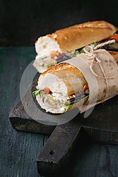 Vegetarian baguette sandwich