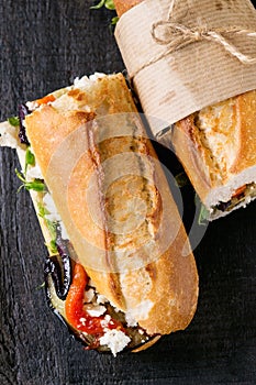 Vegetarian baguette sandwich