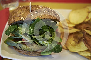 Vegetarian burger and chips