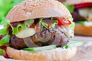 Vegetarian burger with the seitan - vegan meat
