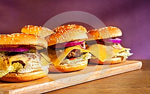 Vegetarian burger on a wooden board harvested in blank space. Stock photo vegan burger with plant foods