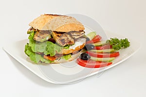 Vegetarian burger with zukini and assorted vegetables