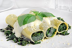 Vegetarian cannelloni photo