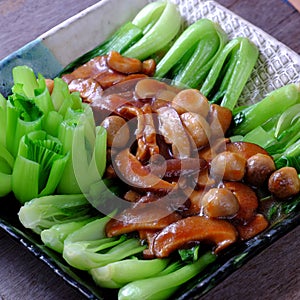 Vegetarian dish for vegans, bok choy sauce with mushrooms