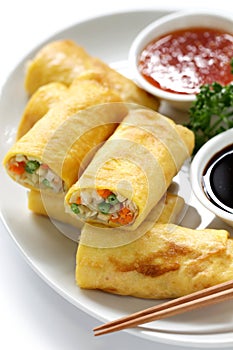 Vegetarian egg rolls