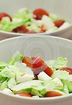 Vegetarian fetta salad photo