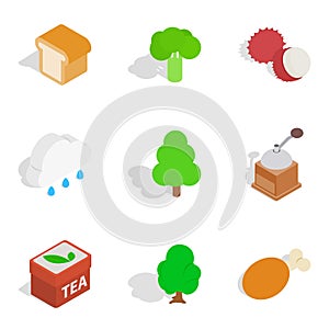 Vegetarian food icons set, isometric style