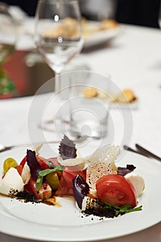 Vegetarian food with marinated tomatoes, arugula, mozzarella che